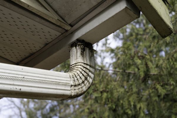 Cost of Roof Drain Replacement in Spartanburg