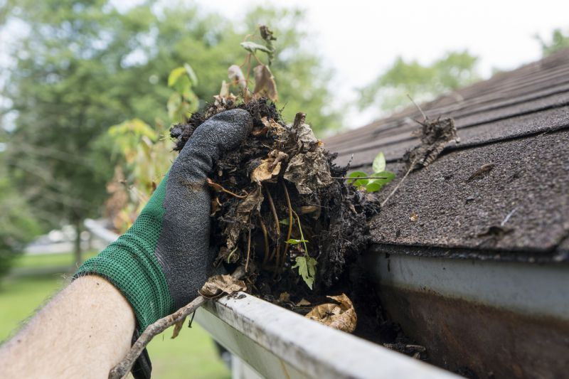 Debris removal from gutter system