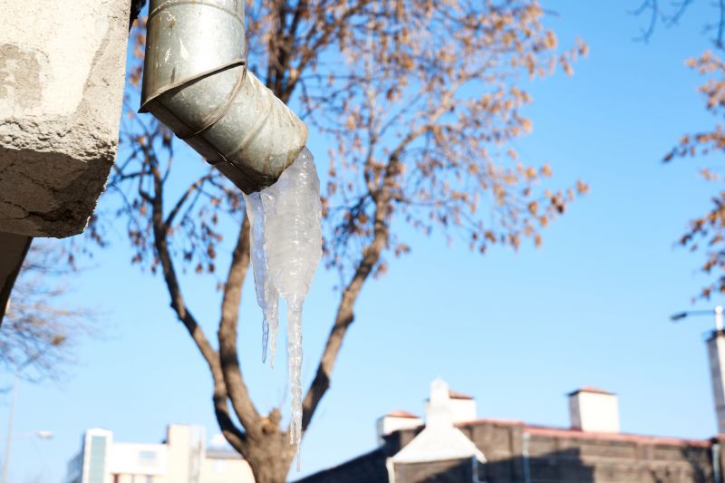 Winter Damage Prevention